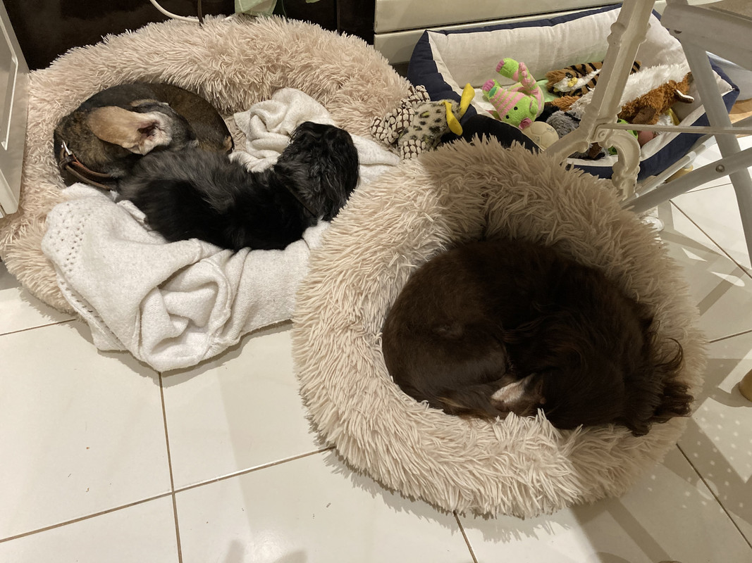 [Image: IMG-3942.jpg]