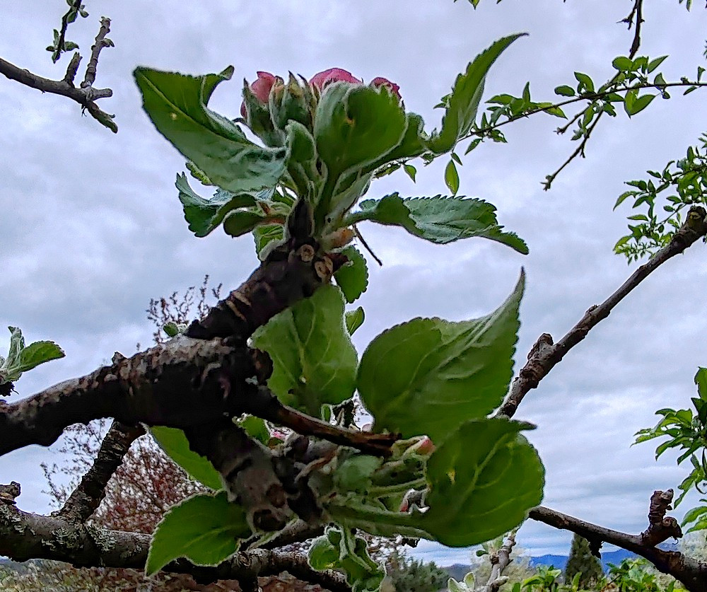 IMG 20260413 191958bbb