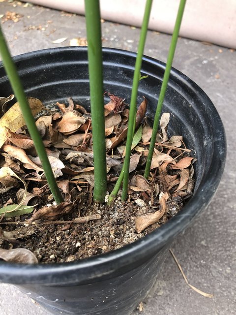 78CED9F9-B5A6-4E87-90D1-03880643571B