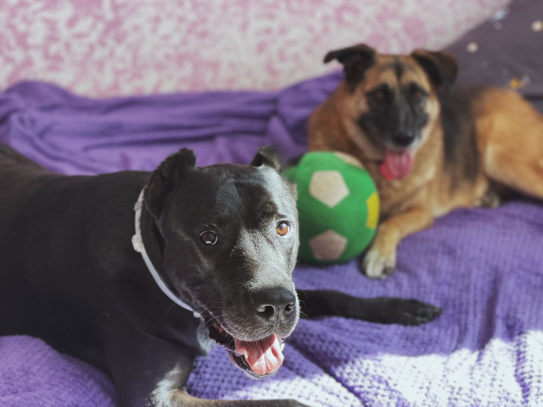 66D84848-791E-499A-BBE8-A446DC7459CC