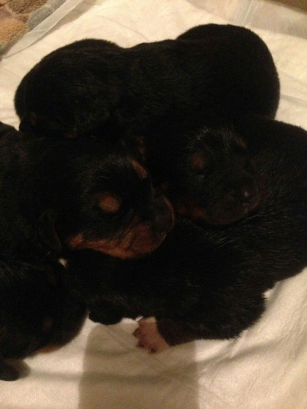 32BDA3AE-D0C3-496F-B223-F5252A7C89D8