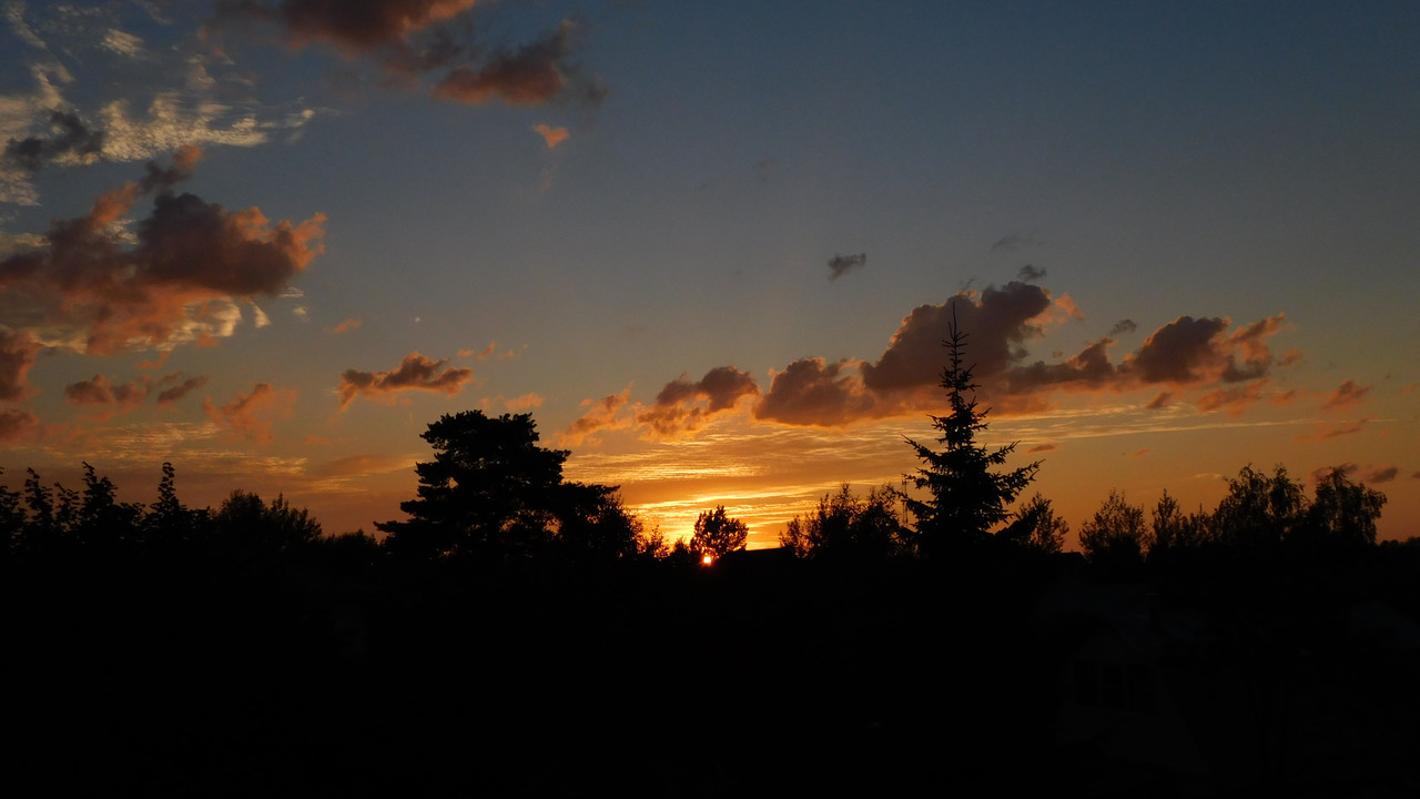 Август дачный кукольный 2023 018