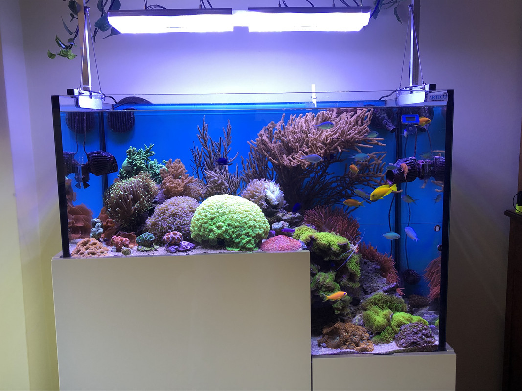 0475BF1F-7C55-4AC3-BA6A-C541A39779E3