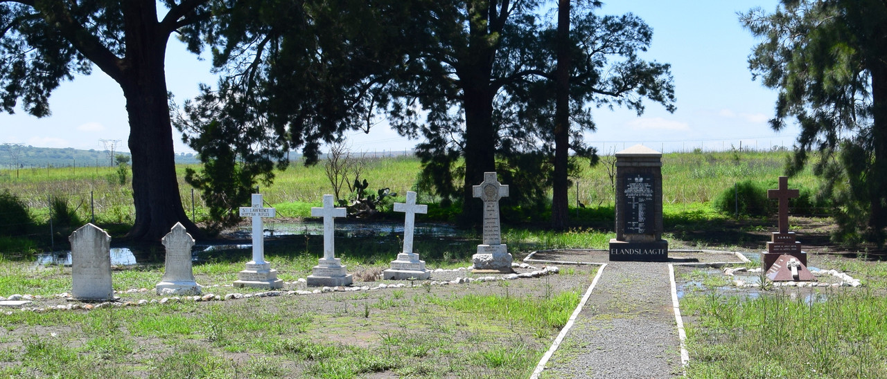 DSC_0362