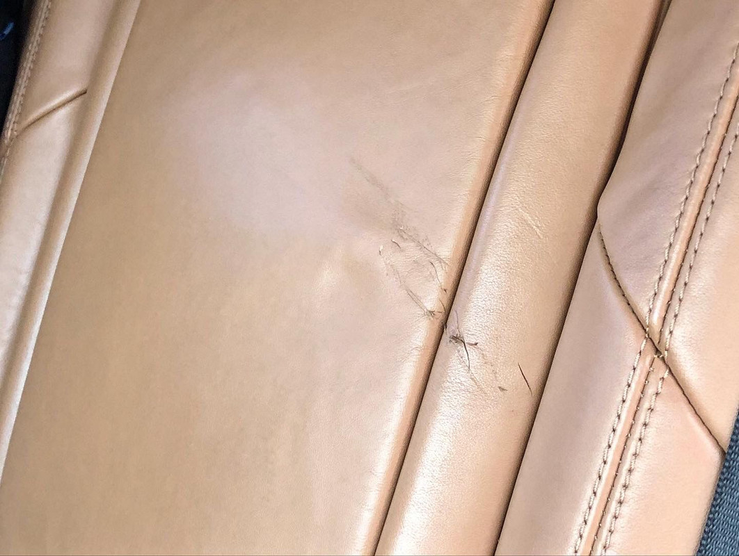 WhatsApp Image 2022-03-03 at 11.41.15 (1)