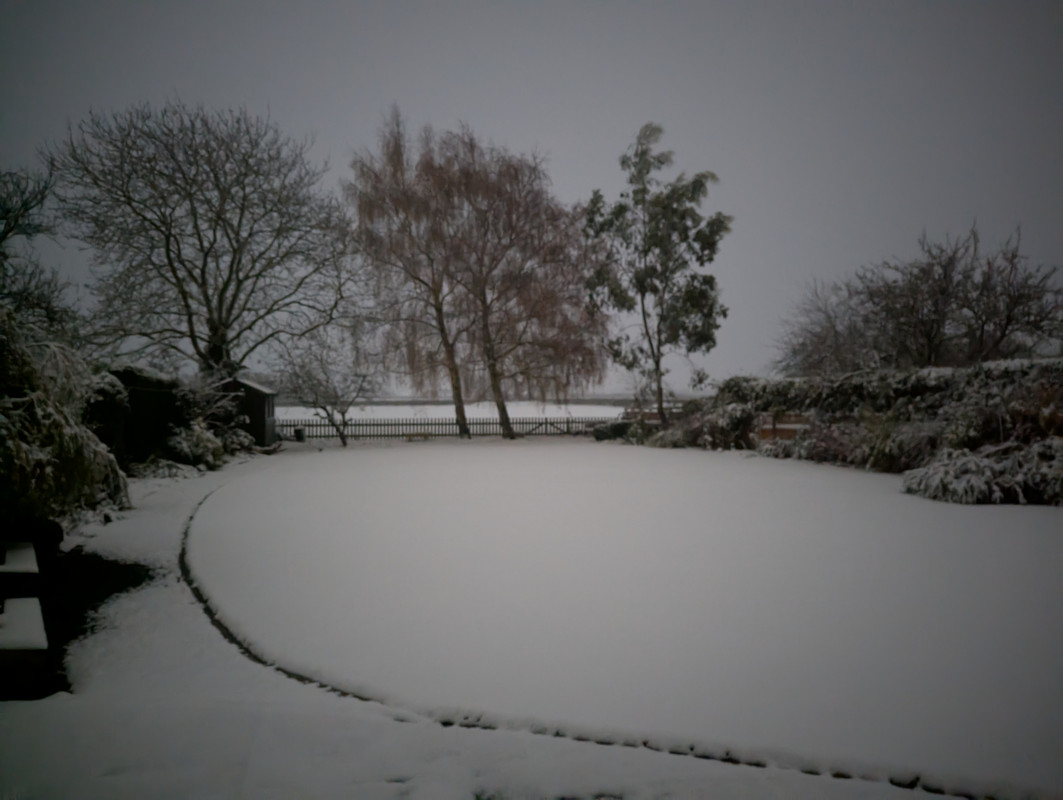 PXL_20241119_050537126.NIGHT