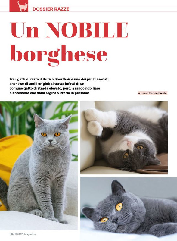 Ga Ma Ago-Set 2025 (1)