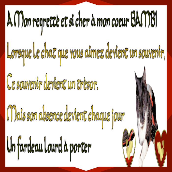 145-mois-BAMBI