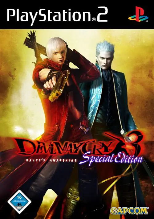DMC 3 SE