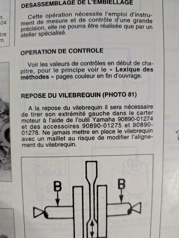 PXL 20251111 165603643 MACRO FOCUS jpg compressed