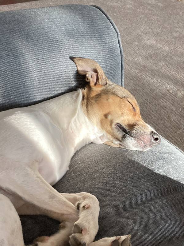 8C097EEE-9EF6-47AA-88CC-1A0CCE95457B