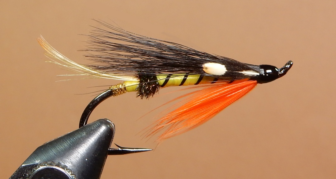 Warden-Wather-1080.jpg