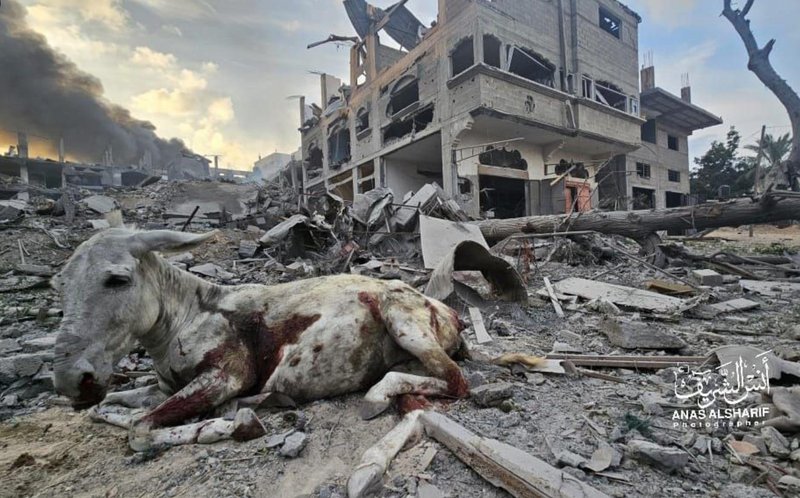 Israel bombardea Gaza Israel bombardea Gaza