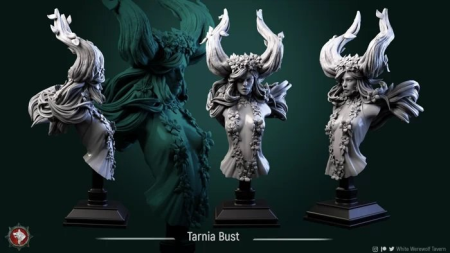 Tarnia Bust – 3D Print Model