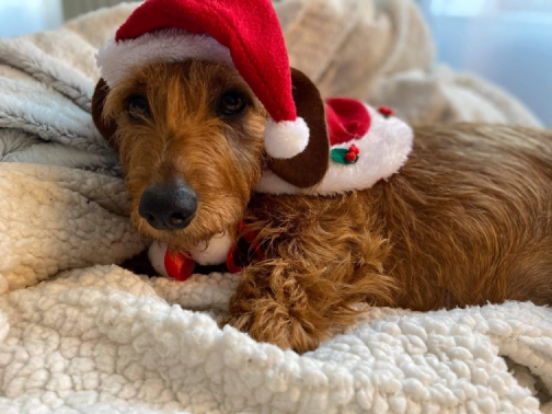 [Image: Resized-received-723684094918918.jpg]