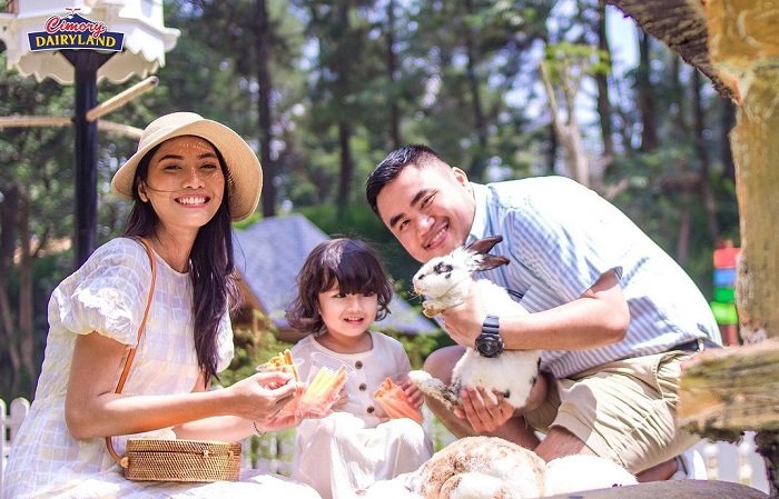 Wahana Rabbit Garden di Cimory Dairyland Puncak.