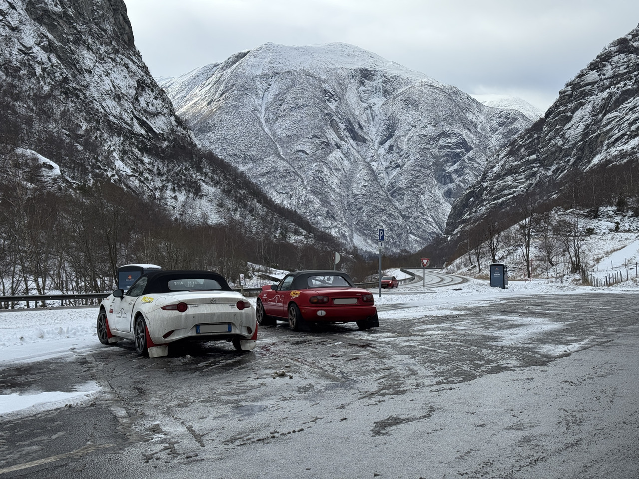 [Immagine: IMG-9596.jpg]