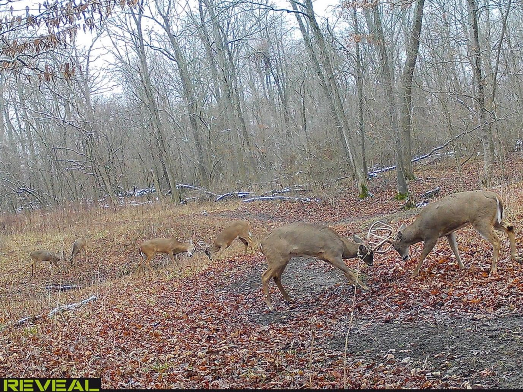 4459CAD8-5F4D-41DD-A6B2-9C8EB630385E