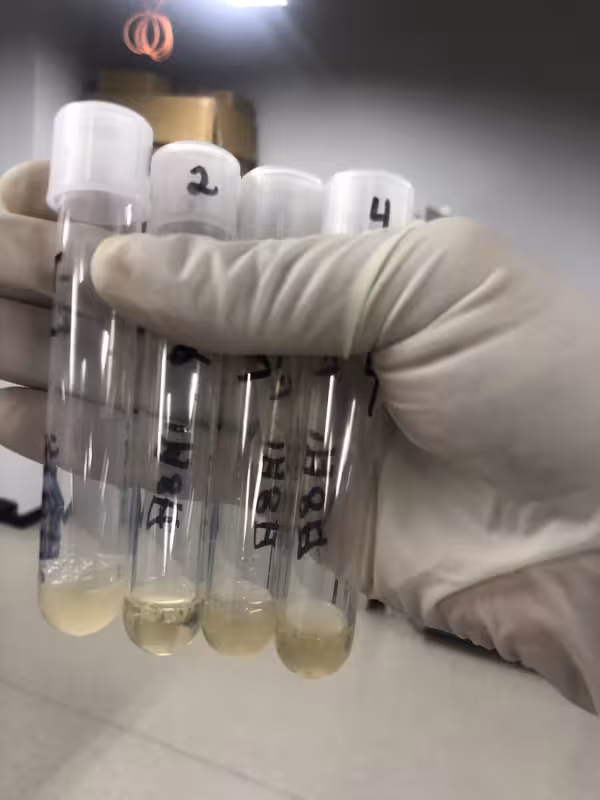 Cell Bio Lab Osaka Gel Phenotype Test Tubes 4 (Image 3)