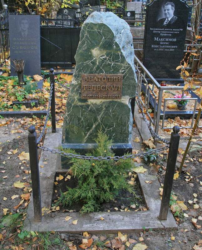 geleskul-am-new
