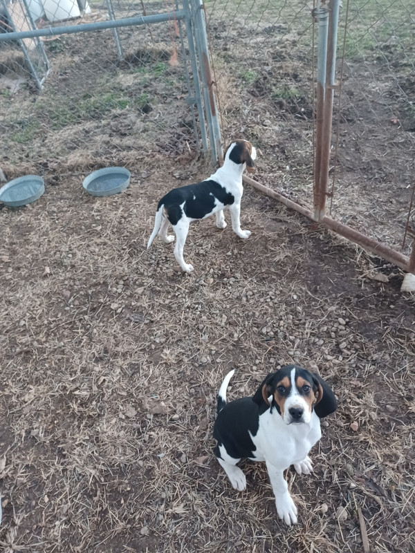 412A28E2-CCE6-4210-B9E2-96DA320F5EEE