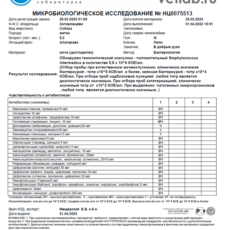 бакпосев Лилли