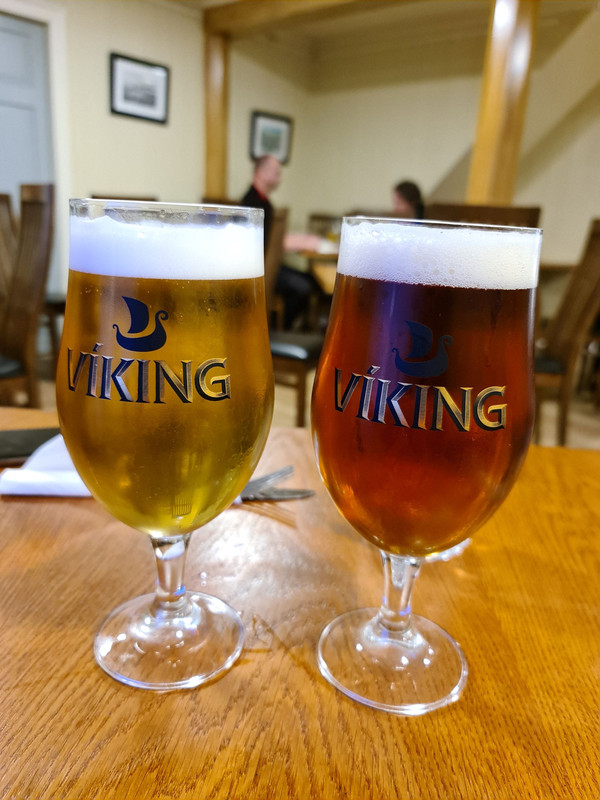 DIA 14: FJALLSÁRLÓN A VÍK - Islandia en tiempos de Covid. Y con Camper! (18)