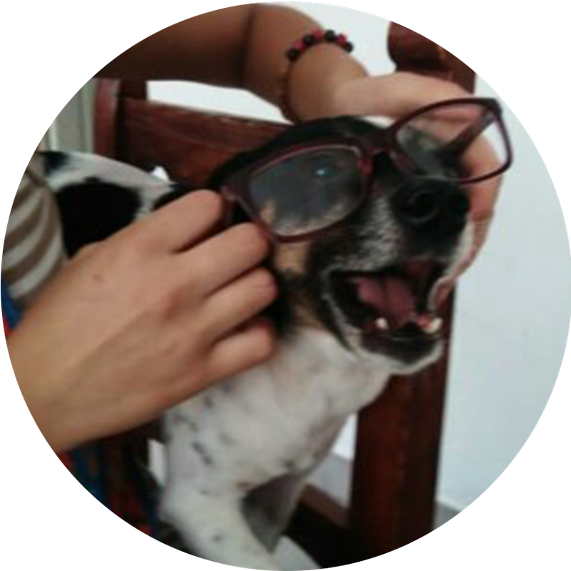 Subir
