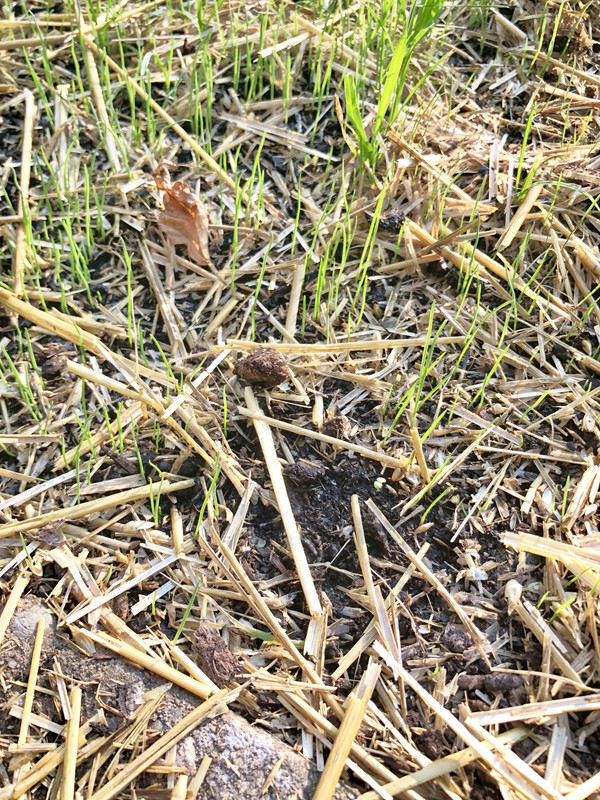 6B7AAB97-38E9-4431-AFBC-3424669E5916