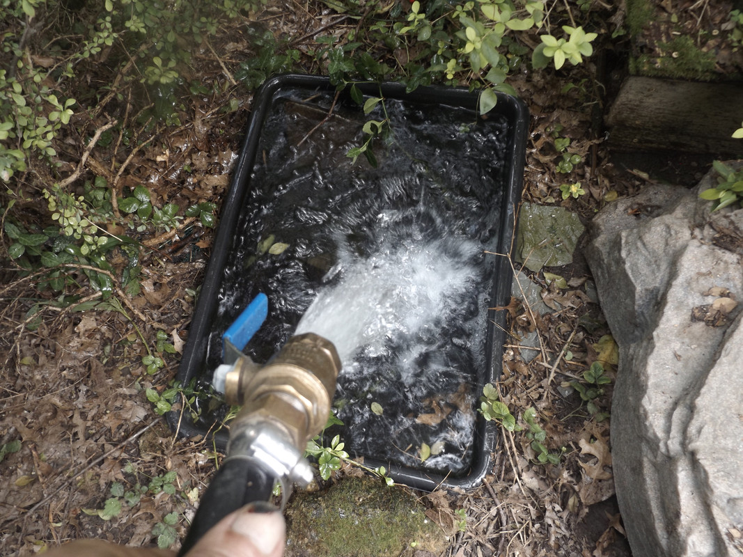 DSCF7430.jpg