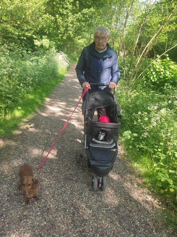 [Image: IMG-20250508-155315.jpg]