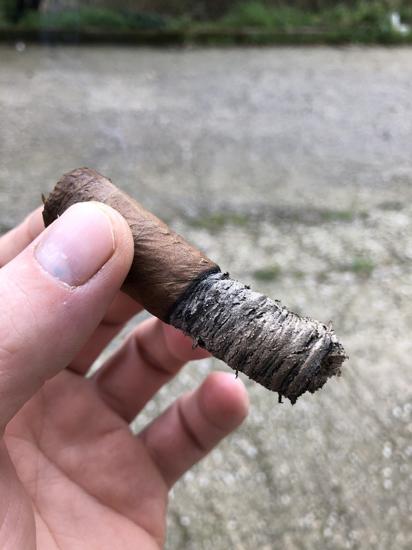 3452B8FC-C2BC-48A1-B893-112DE9F6D633