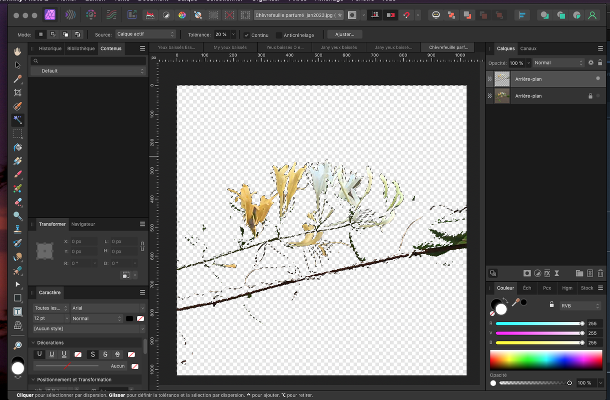 Capture d’écran 2023-01-11 à 11.10.49