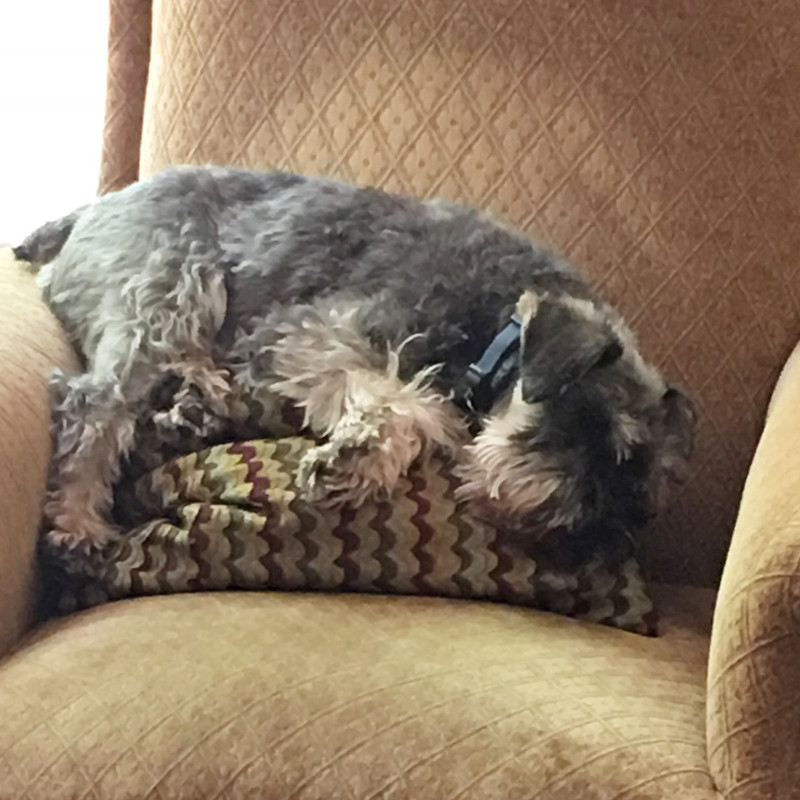 9E550799-BDF0-4E61-A195-1EE143FD5121