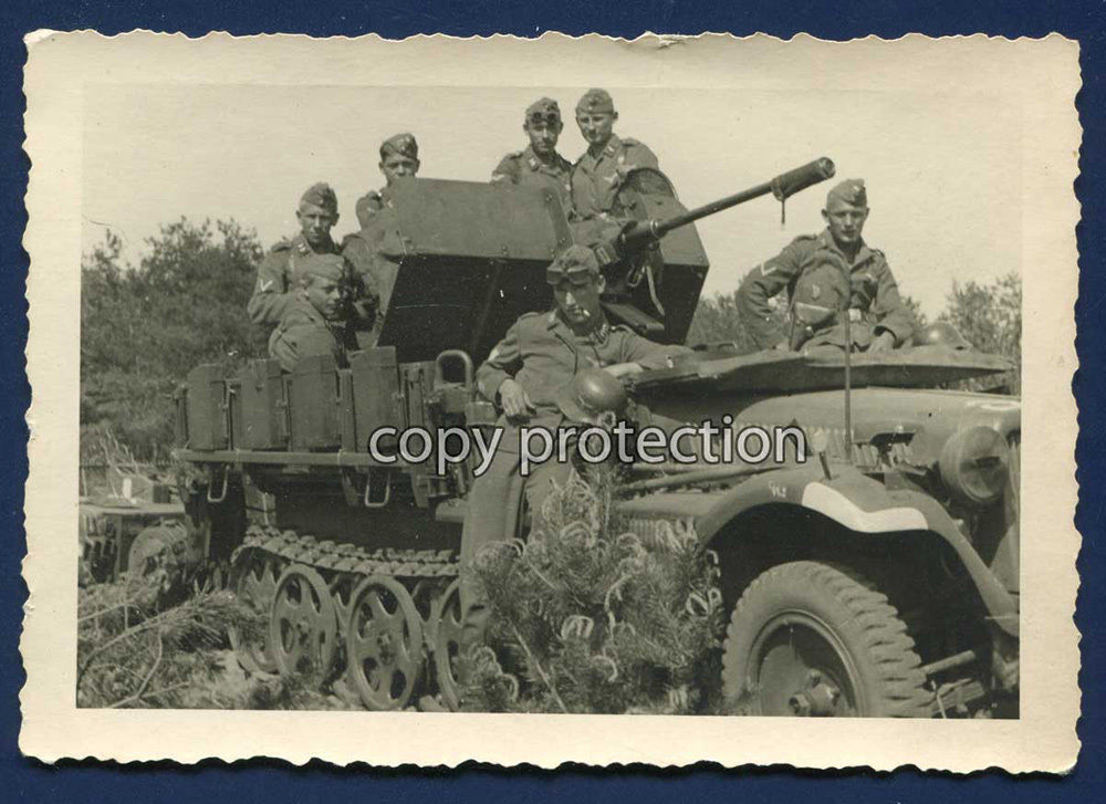 Orig.foto Sd.Kfz. 10-4 mit Flak-Geschütz, Luftwaffe