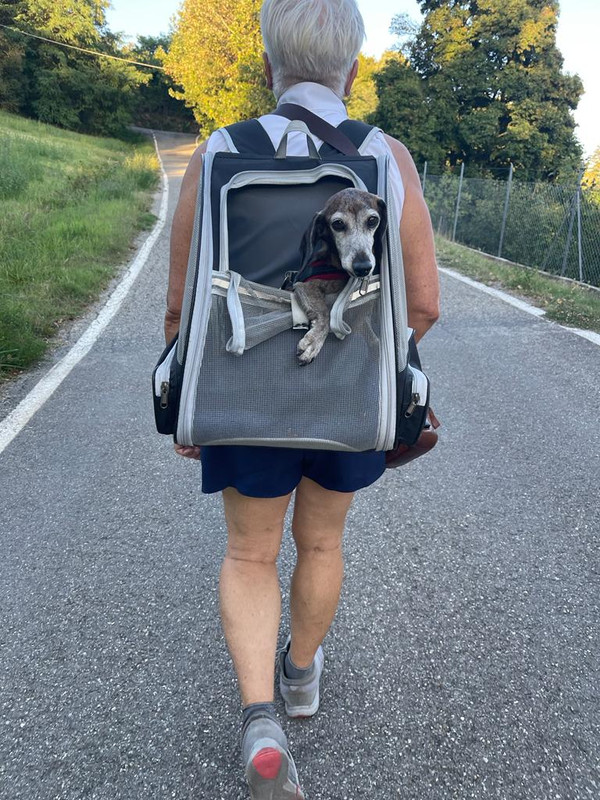 [Image: 5e05ce72-b8a2-4a29-8e38-7444577cdc07.jpg]