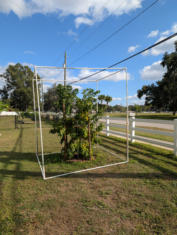 PXL 20251227 192243750