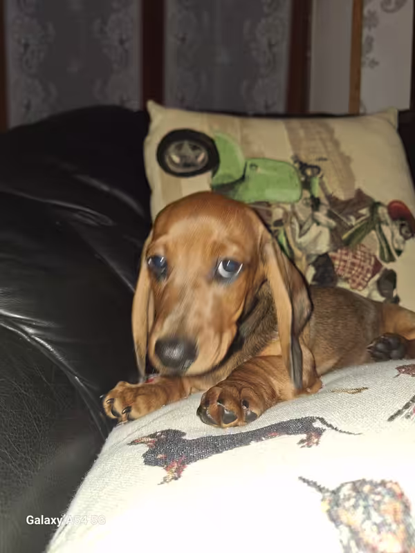 [Image: 20240930-174423.avif]