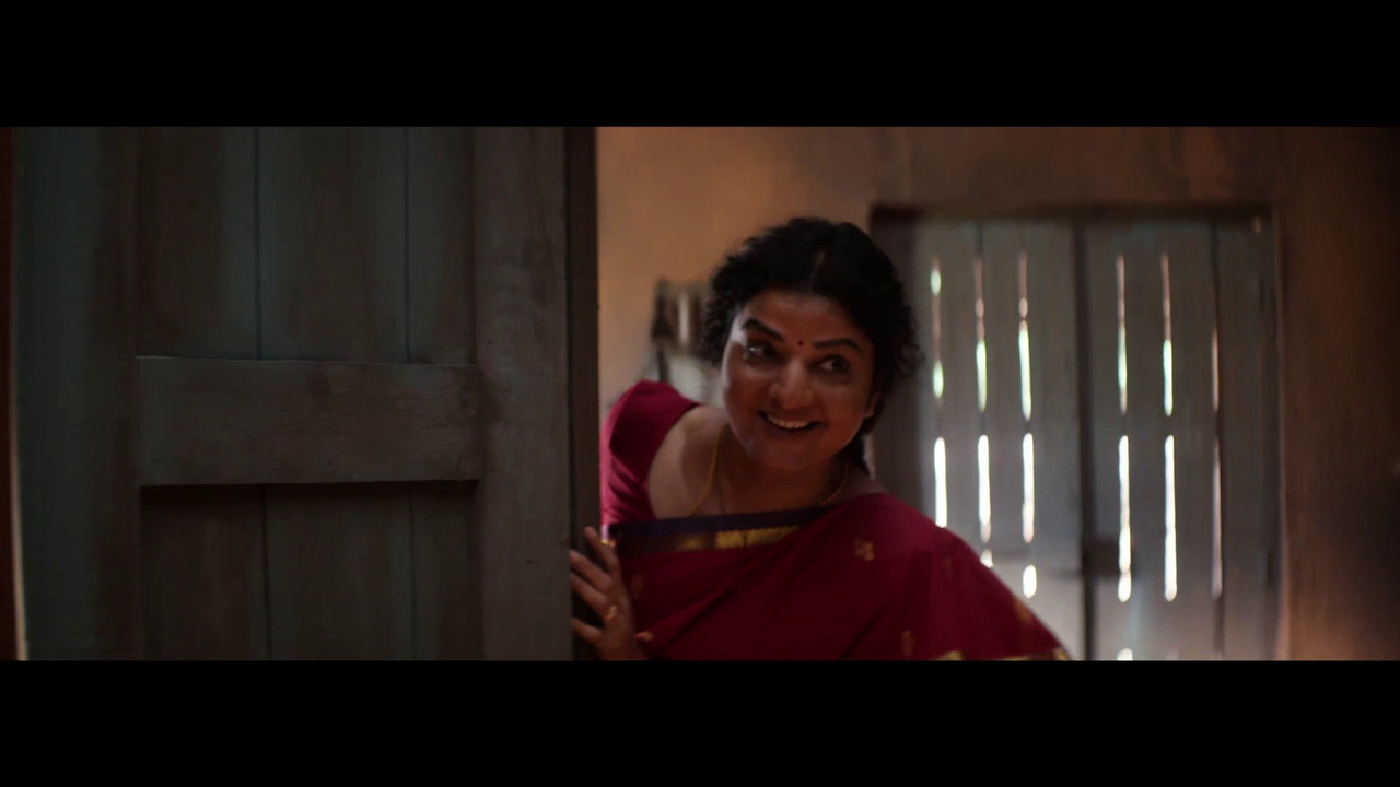 vlcsnap 2025 11 09 15h37m58s771