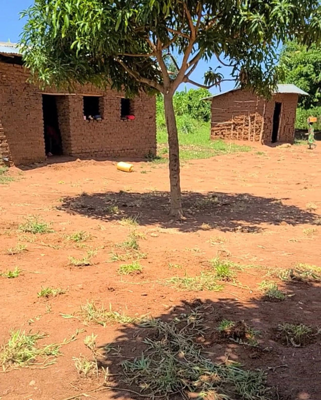 Children at Dove Love compound
