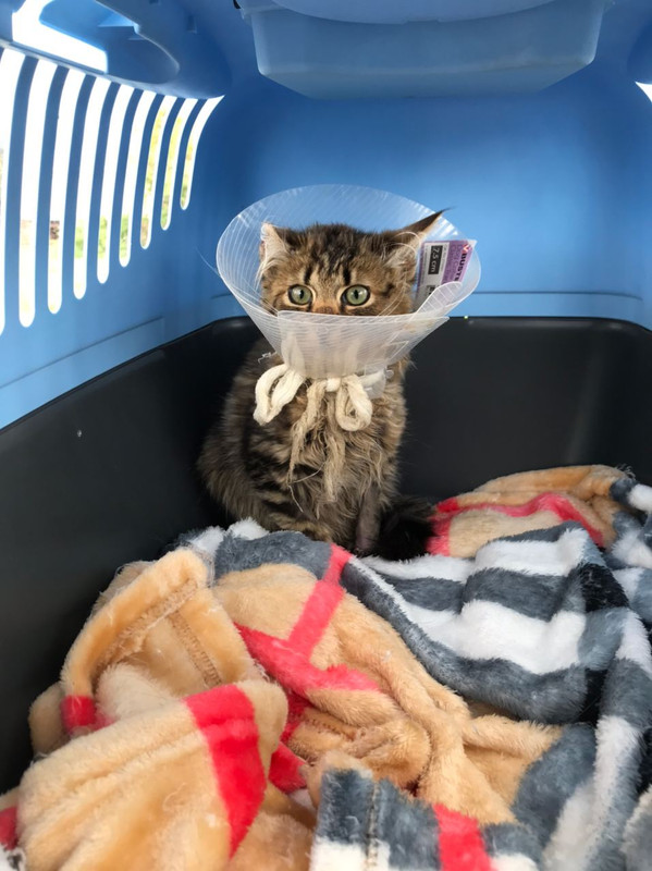 2D04828B-8A5D-4ACA-A286-FC426756FD36