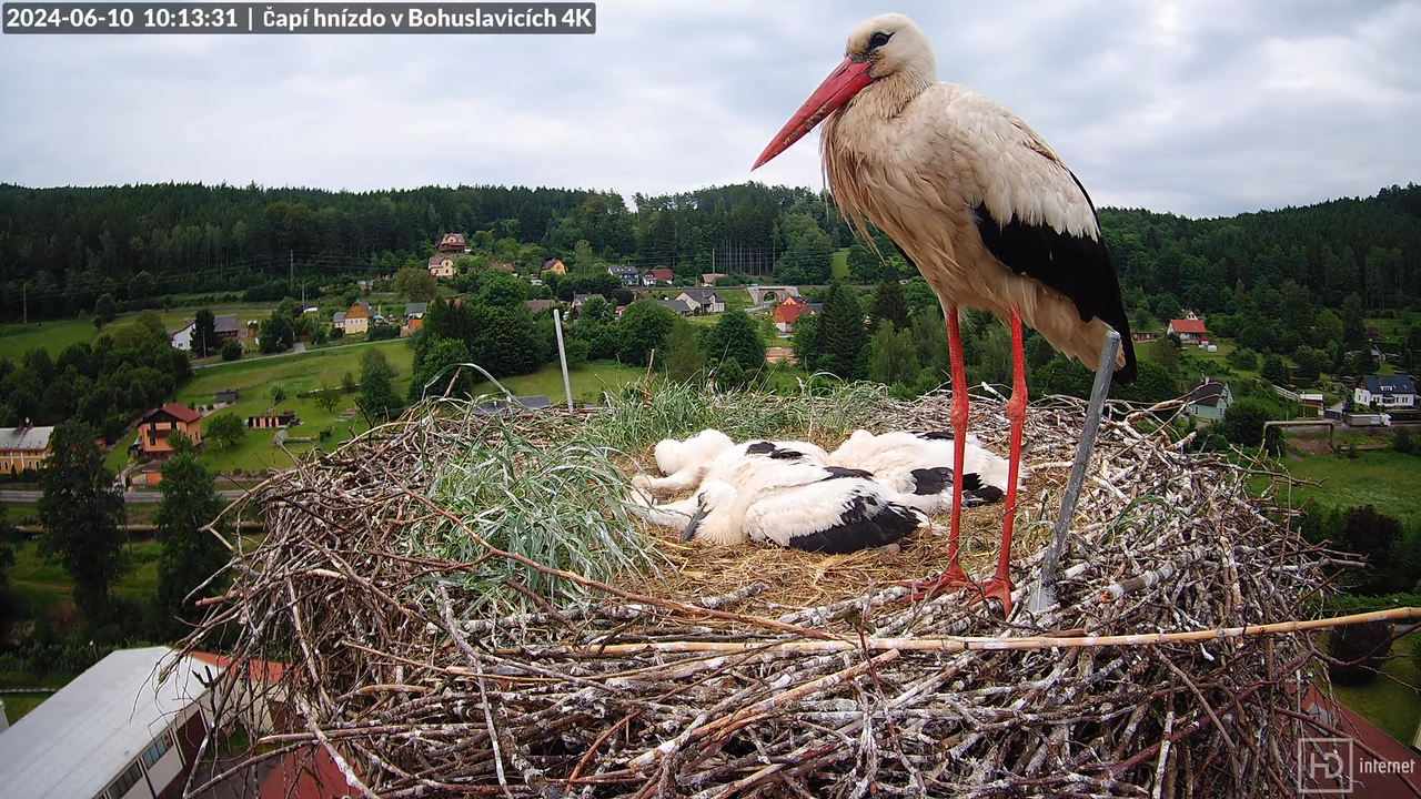 Tiešraidē no uzņēmuma KARA stārķa skursteņa Bohuslavicē pie Trutnovas 11-58-50 screenshot