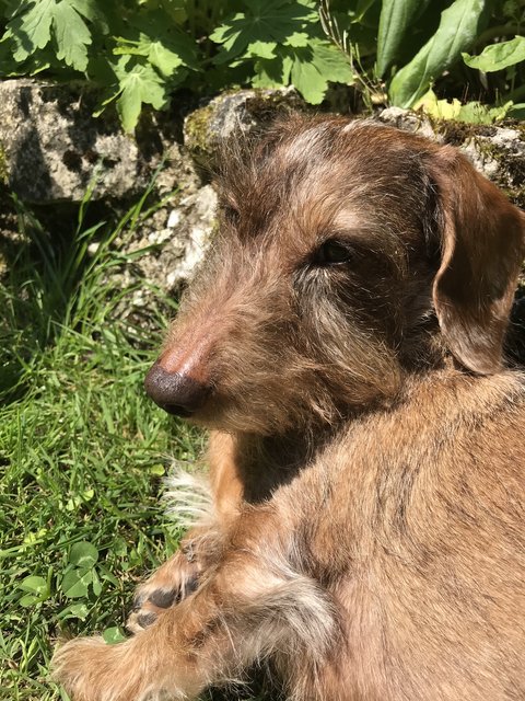 [Image: 5-D6-BB645-83-E7-492-B-8056-C204-B4-FA6464.jpg]