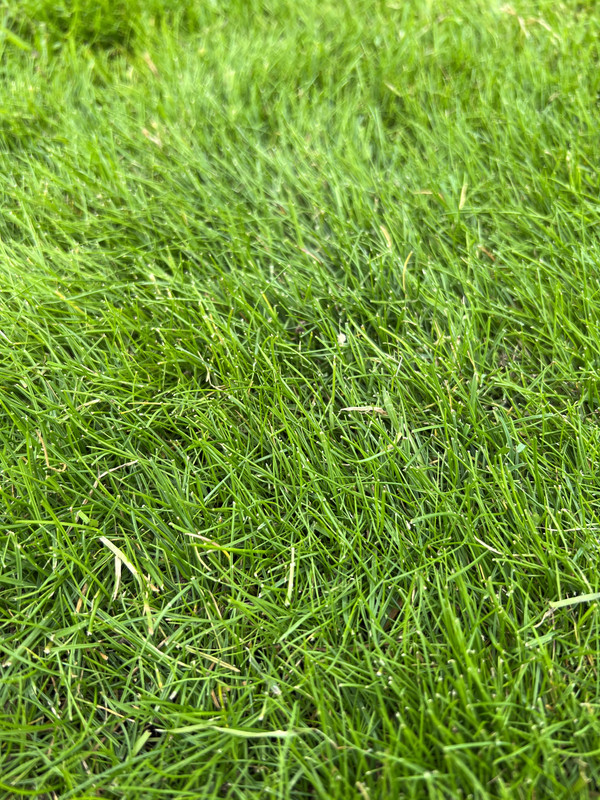 012925CF-7FFC-4AF0-90F5-3EDB330D9836