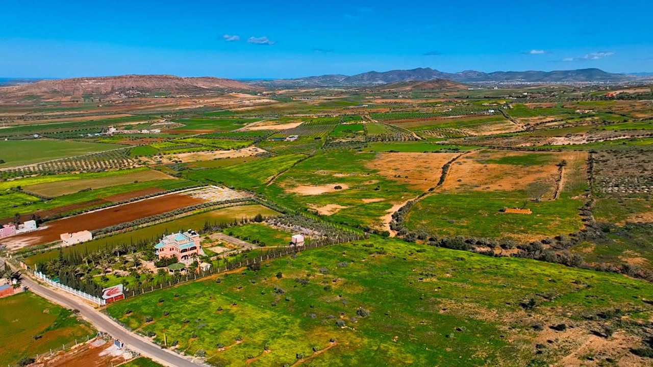 FB-IMG-1770552168879