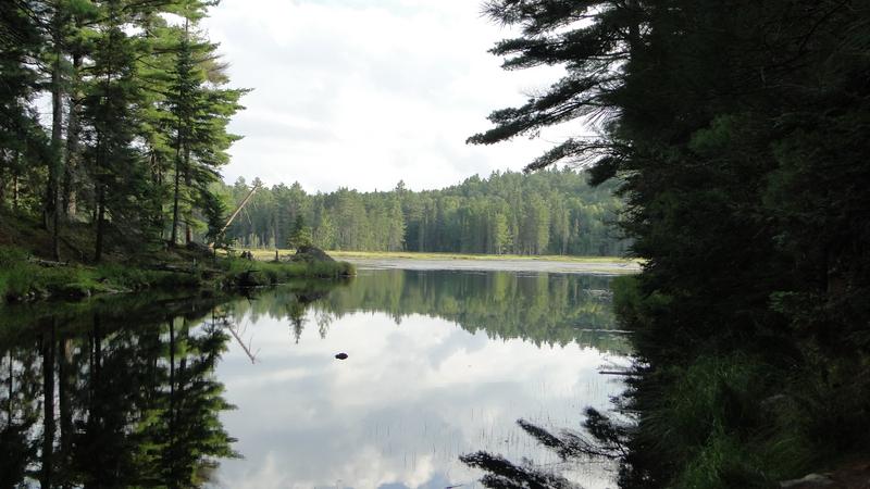 Algonquin - 3.000 km por el este de Canadá (8)