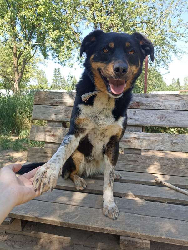 photo_2024-05-26_14-29-10