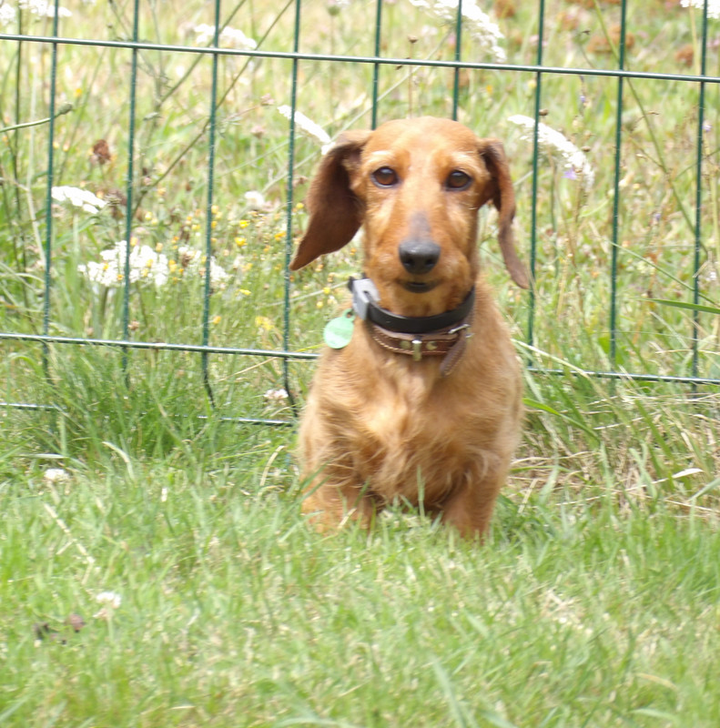 [Image: 125-0202.jpg]