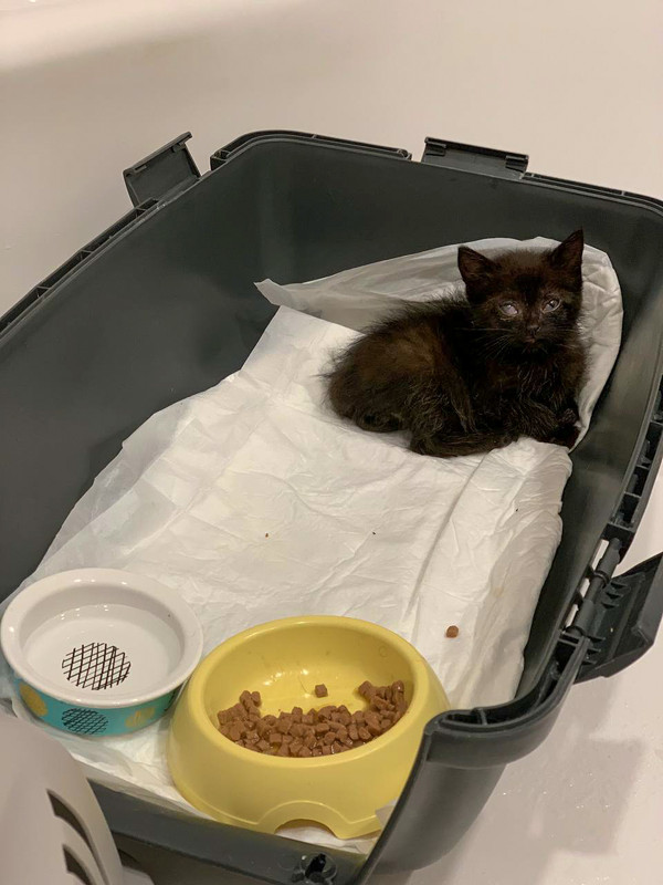 8C21008F-E264-42DD-9AB3-7902A7FFA8DC