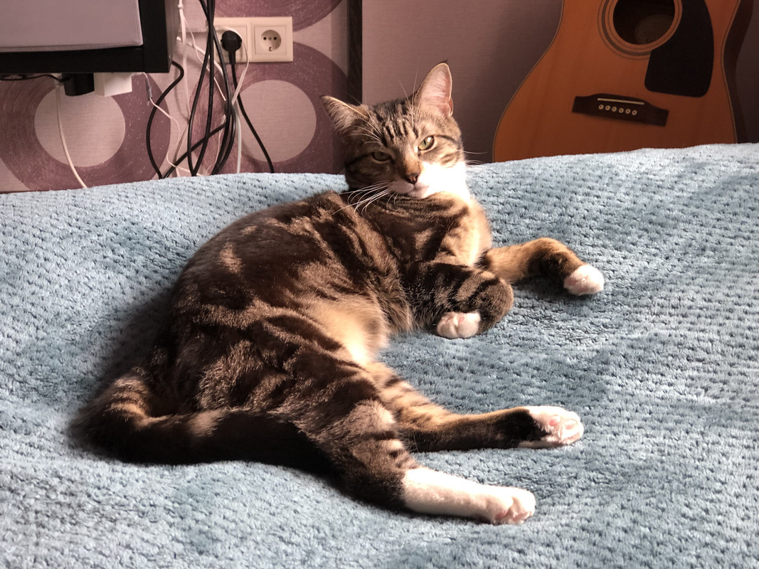 7D478450-527E-47C4-8238-DB7F1C2C4421